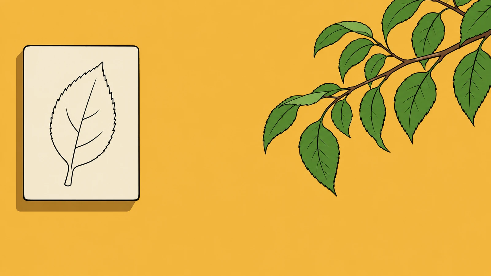 A fixed plaster leaf impression beside a moving living branch, a metaphor for a PNG preserving one state